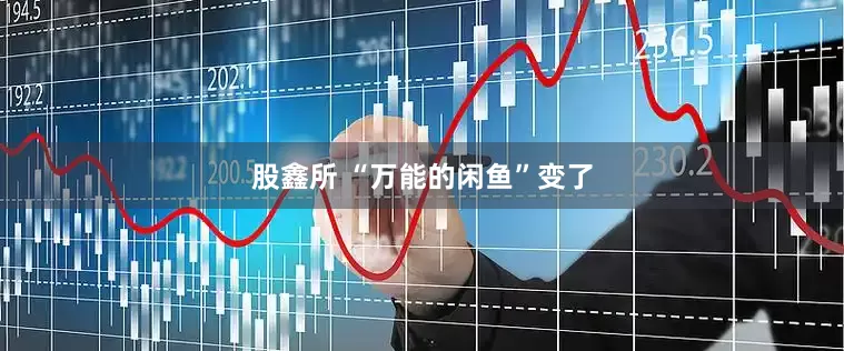 股鑫所 “万能的闲鱼”变了