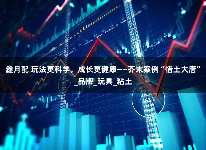 鑫月配 玩法更科学，成长更健康——芥末案例“惜土大唐”_品牌_玩具_粘土