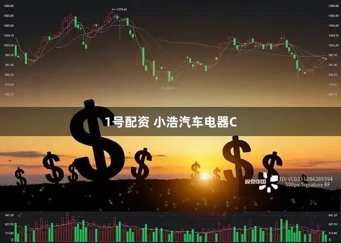 1号配资 小浩汽车电器C