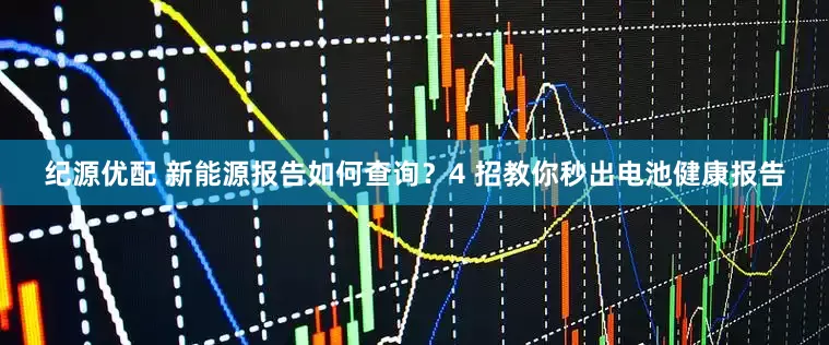 纪源优配 新能源报告如何查询？4 招教你秒出电池健康报告