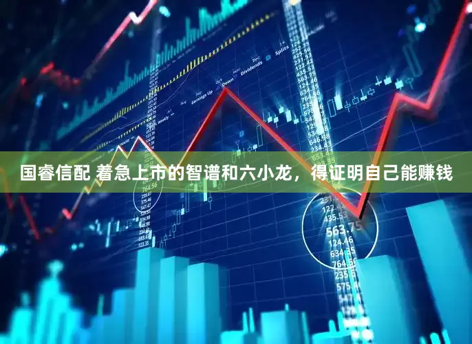 国睿信配 着急上市的智谱和六小龙，得证明自己能赚钱